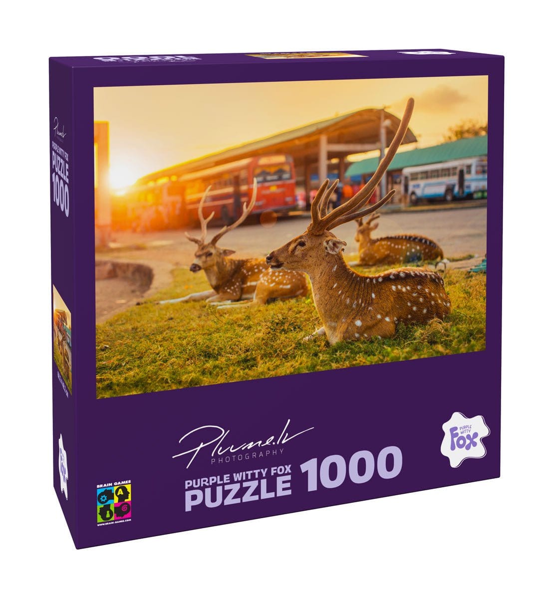 Brain Games LV Puzles Puzle 1000 Purple Witty Fox - Sri Lanka, Trincomalee