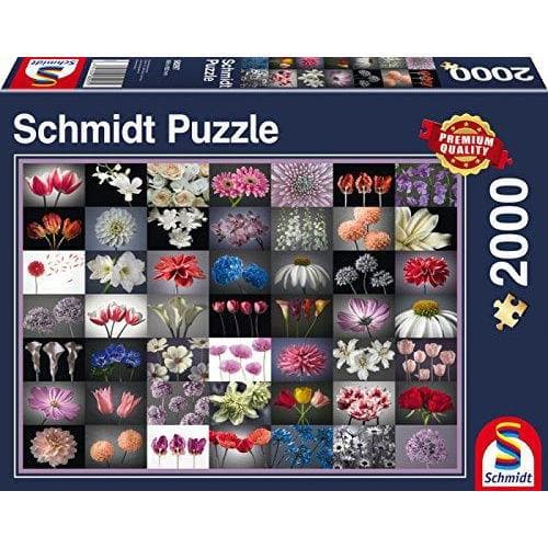 Puzzles - Schmidt